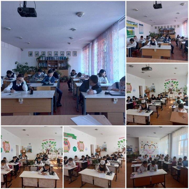 Оқушылар арасында буллинг және кибербуллингке қарсы жүргізілген жұмыстар,сауалнамалар